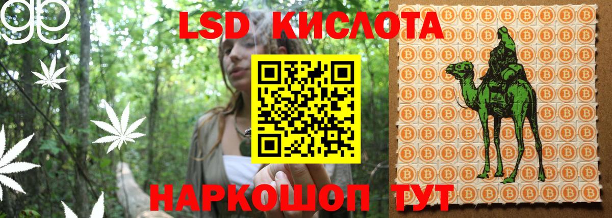 Марки N-bome 1500мкг  где найти   Ефремов  Вход с VPN  Марки NBOMe 