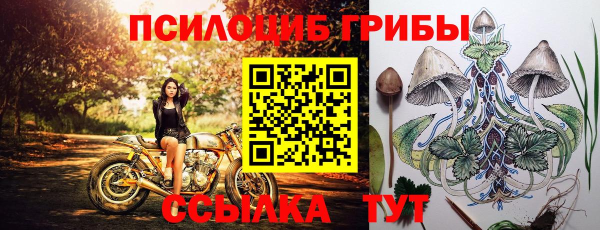 Ефремов  Галлюциногенные грибы Psilocybe  Псилоцибиновые грибы Magic Shrooms  Вход с VPN 